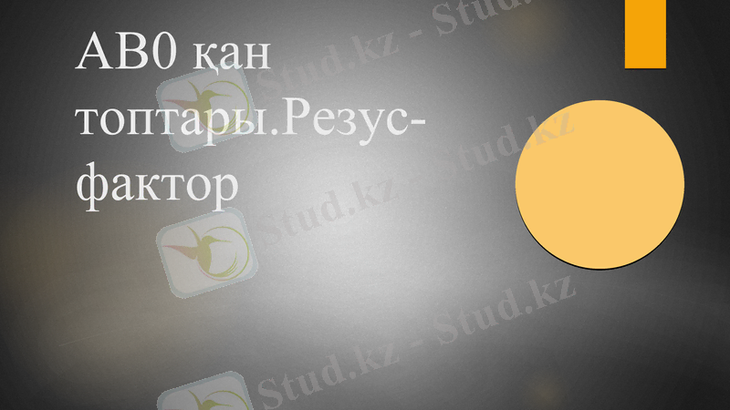 Slide 1