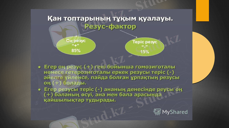 Slide 10