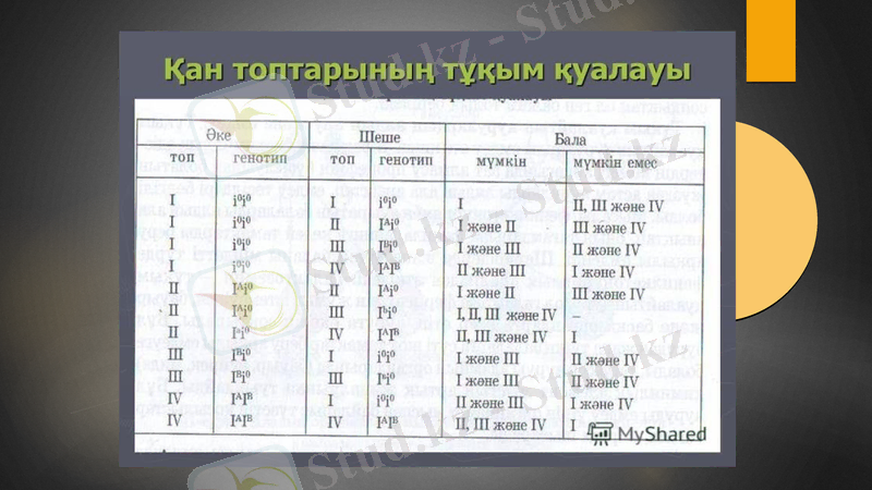 Slide 11