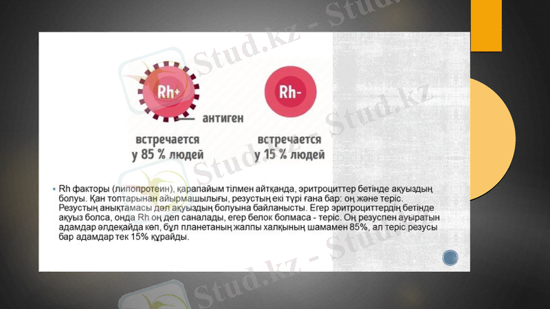 Slide 12