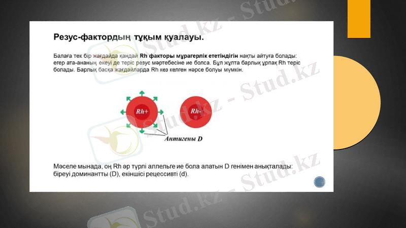 Slide 13