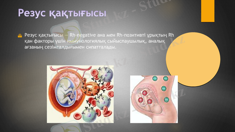 Slide 16