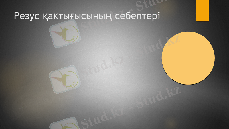 Slide 17