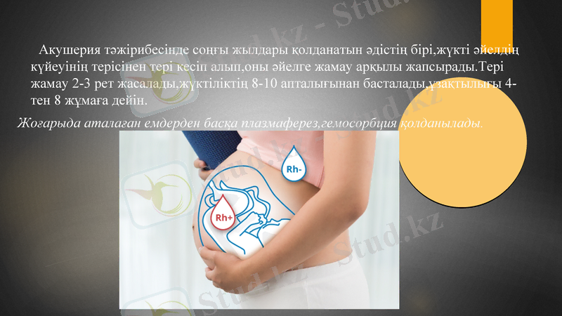 Slide 24
