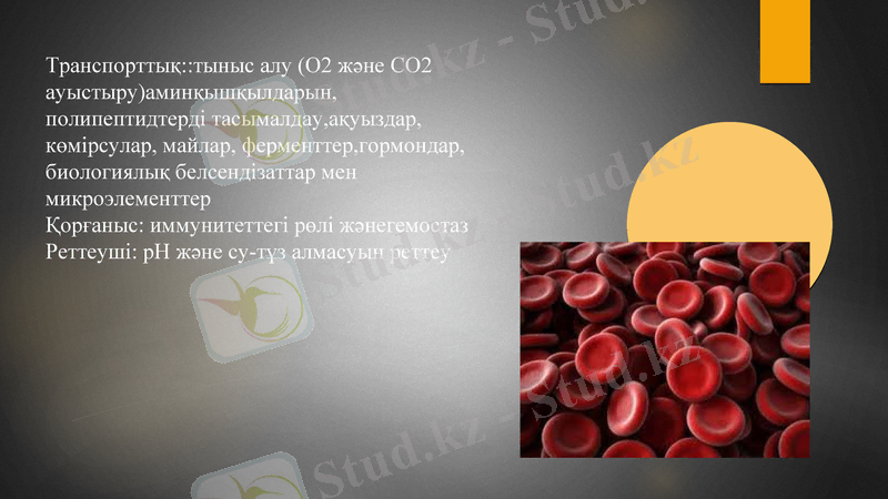 Slide 5