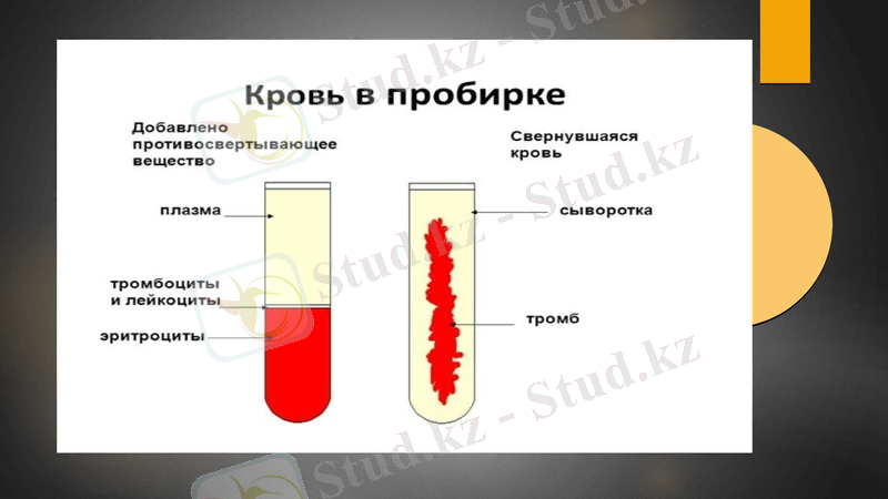 Slide 7