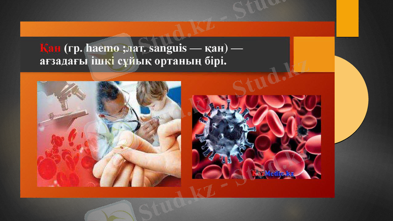Slide 8