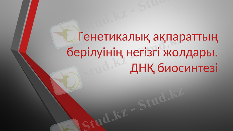 Slide 1