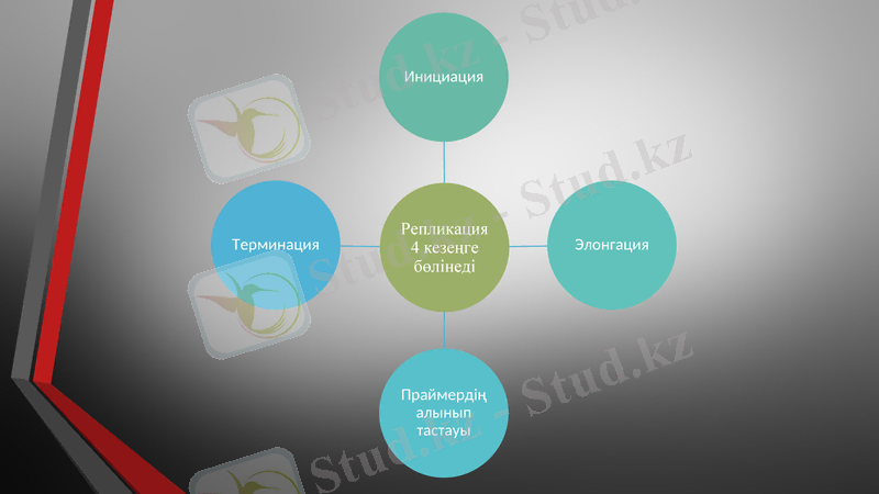 Slide 10