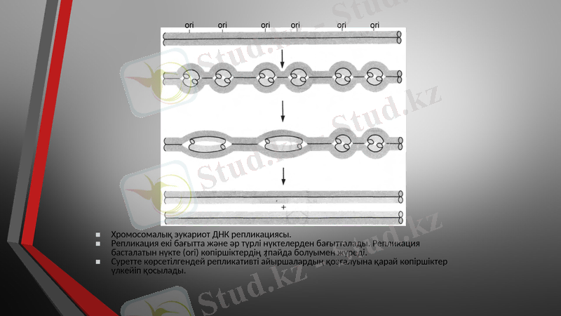 Slide 12