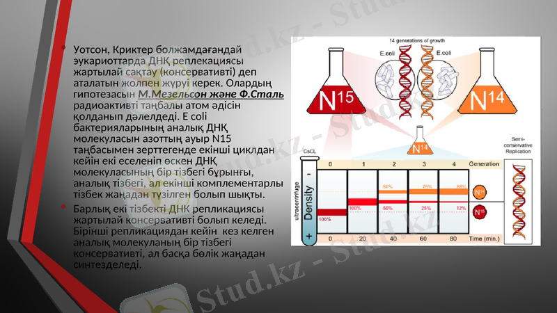 Slide 7