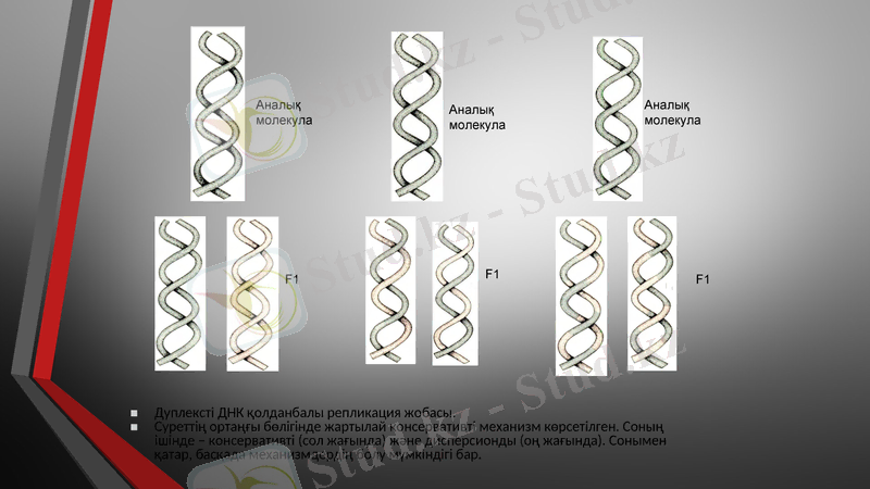 Slide 8