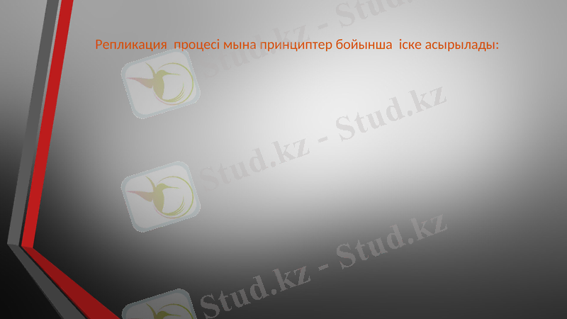 Slide 9