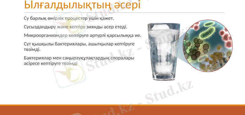 Slide 10