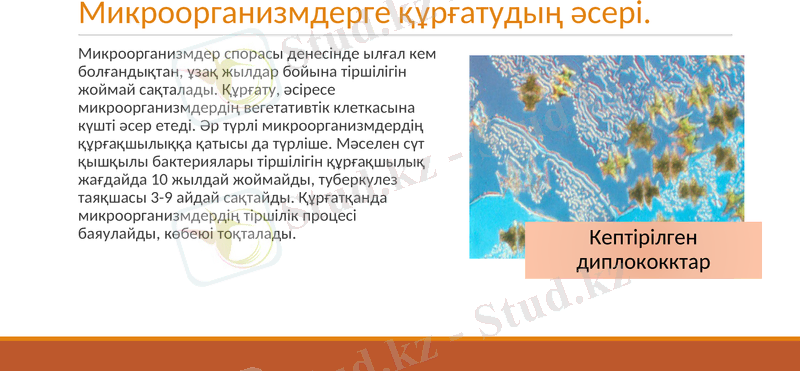 Slide 11