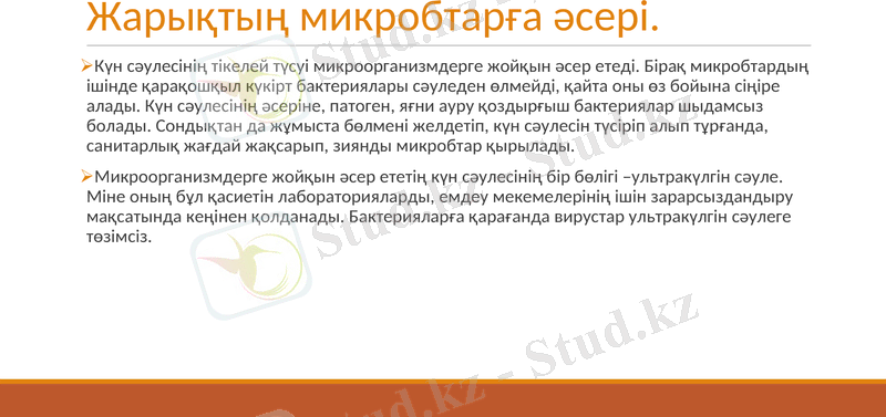 Slide 12