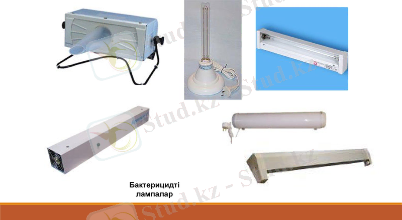 Slide 13