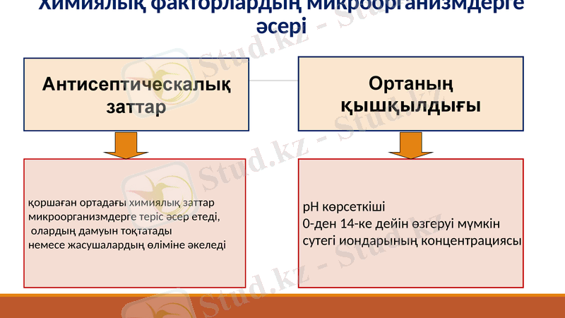 Slide 14