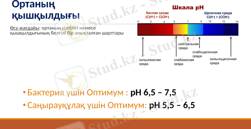 Slide 15