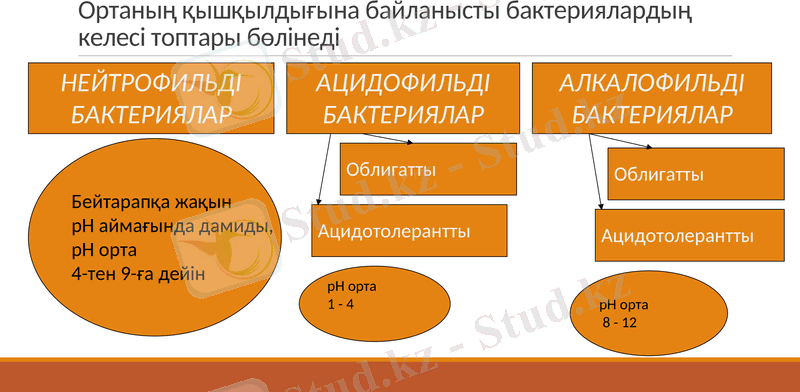 Slide 16