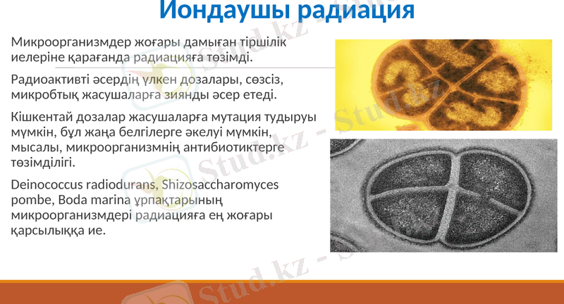 Slide 17