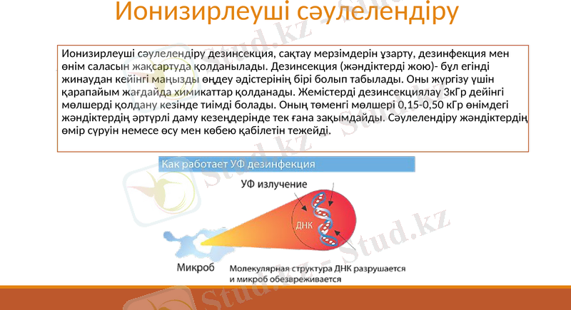 Slide 19