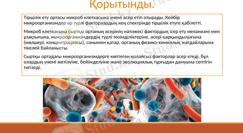 Slide 20