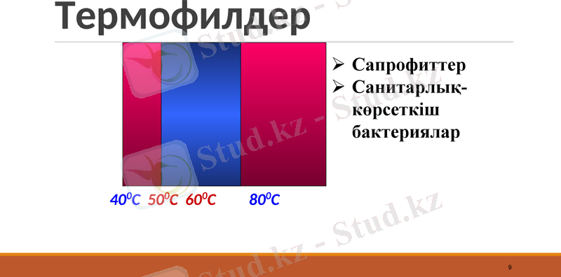 Slide 9