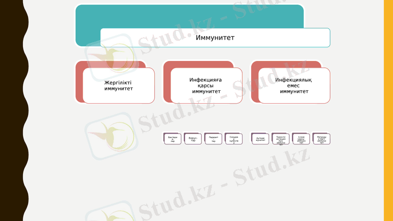 Slide 10