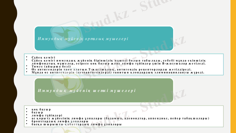 Slide 12