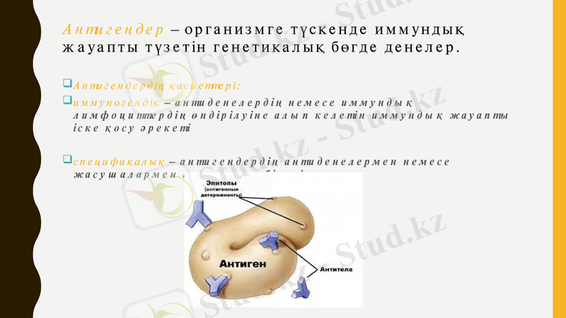 Slide 13
