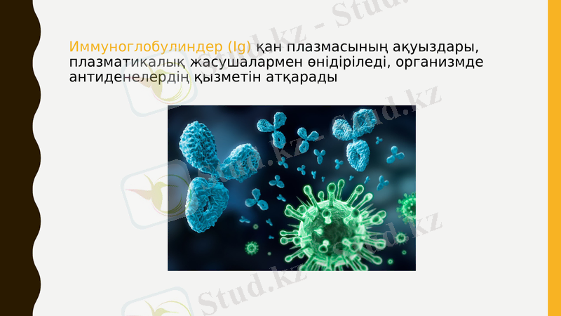 Slide 16