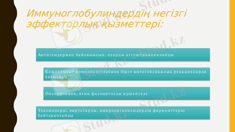 Slide 17