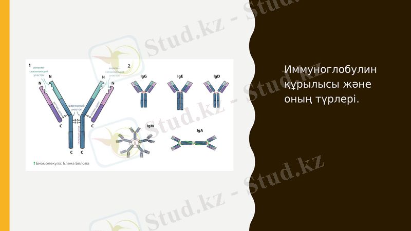 Slide 18