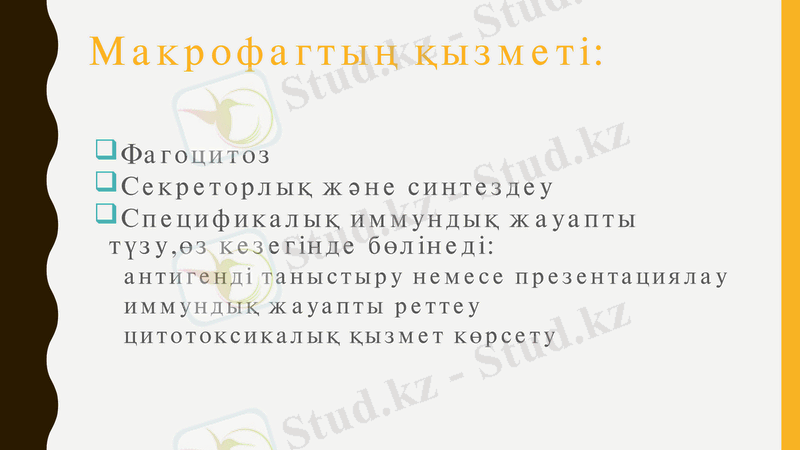 Slide 21