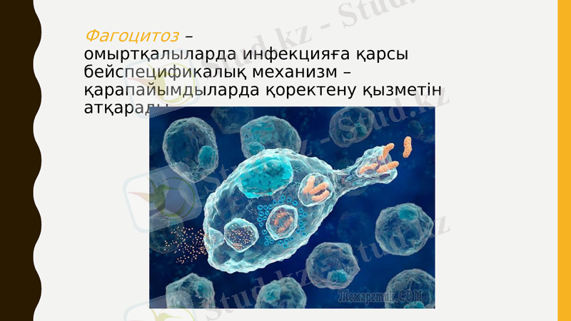 Slide 22