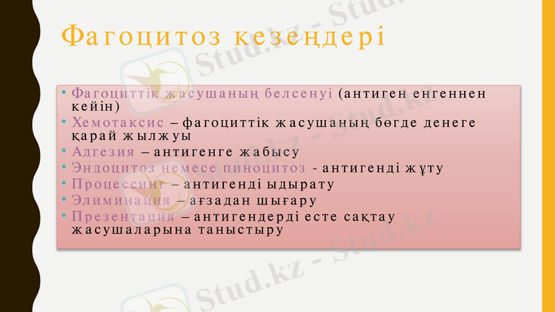 Slide 23