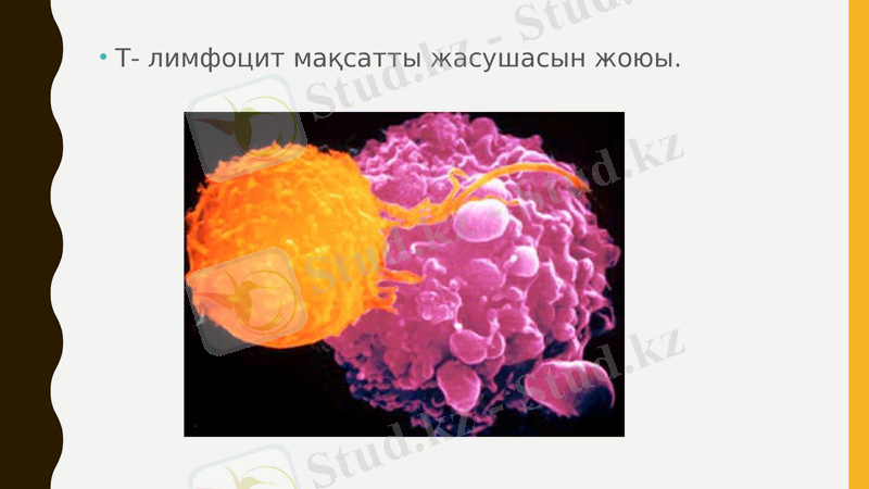 Slide 25