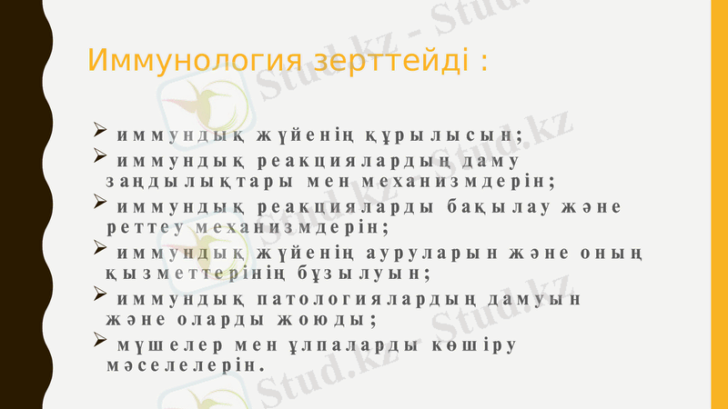 Slide 6