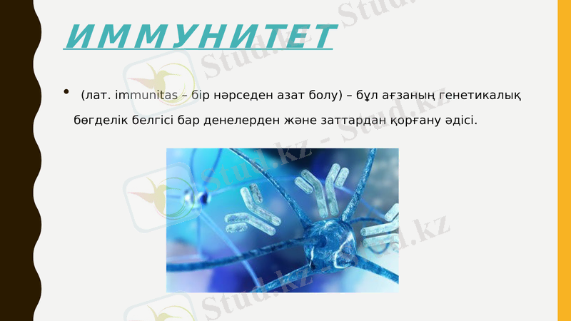 Slide 7