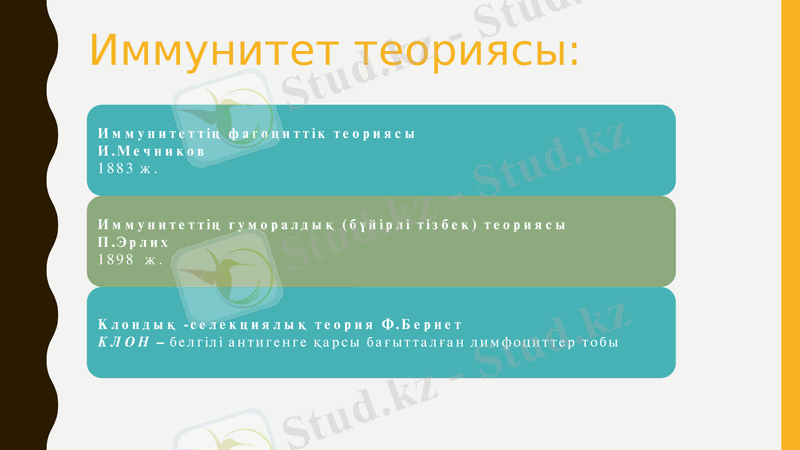 Slide 8