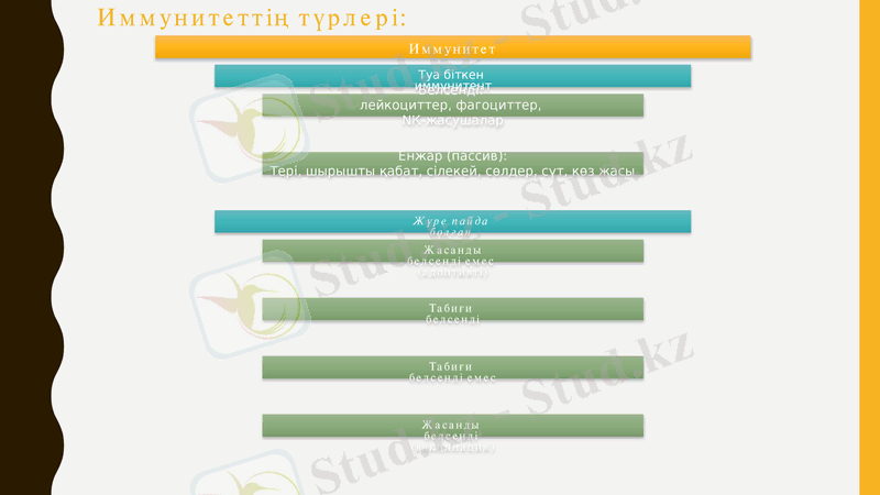Slide 9