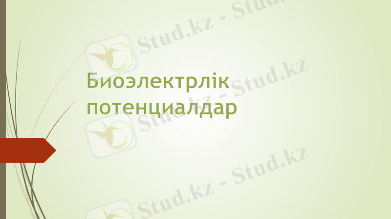 Slide 1