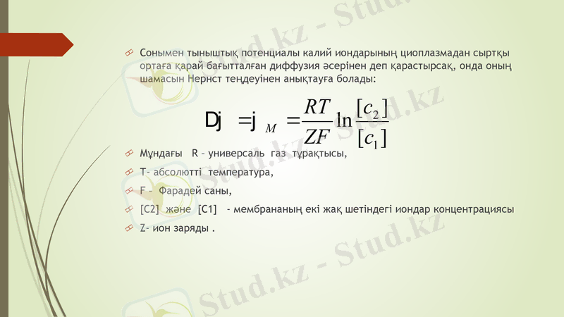 Slide 10