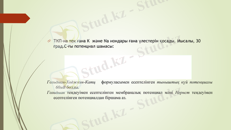Slide 12