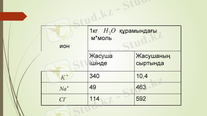 Slide 13