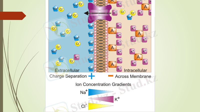 Slide 14