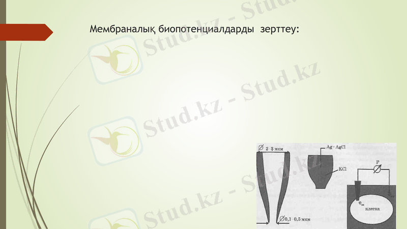 Slide 15