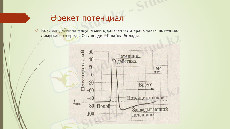 Slide 17
