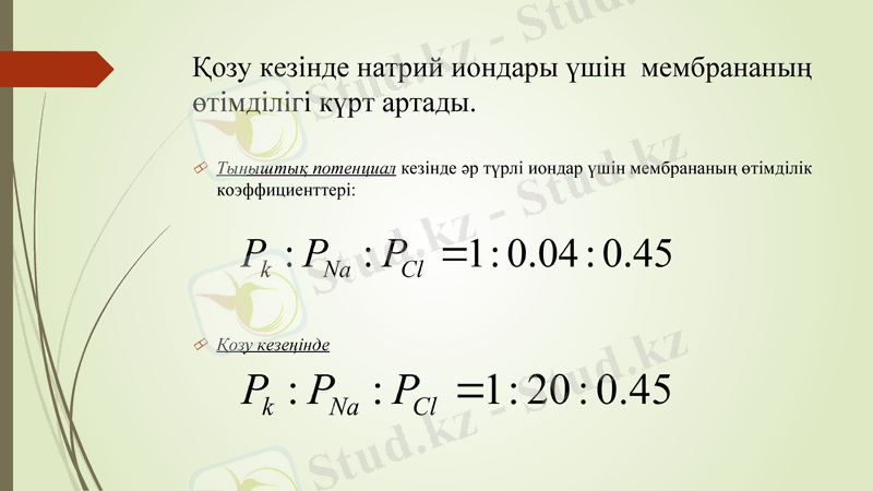 Slide 19